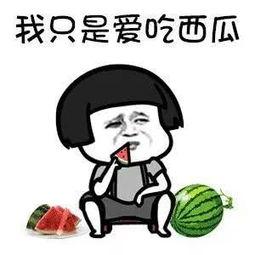 娱乐瓜都是在哪里吃的啊,明星们的“娱乐瓜”聚集地大揭秘